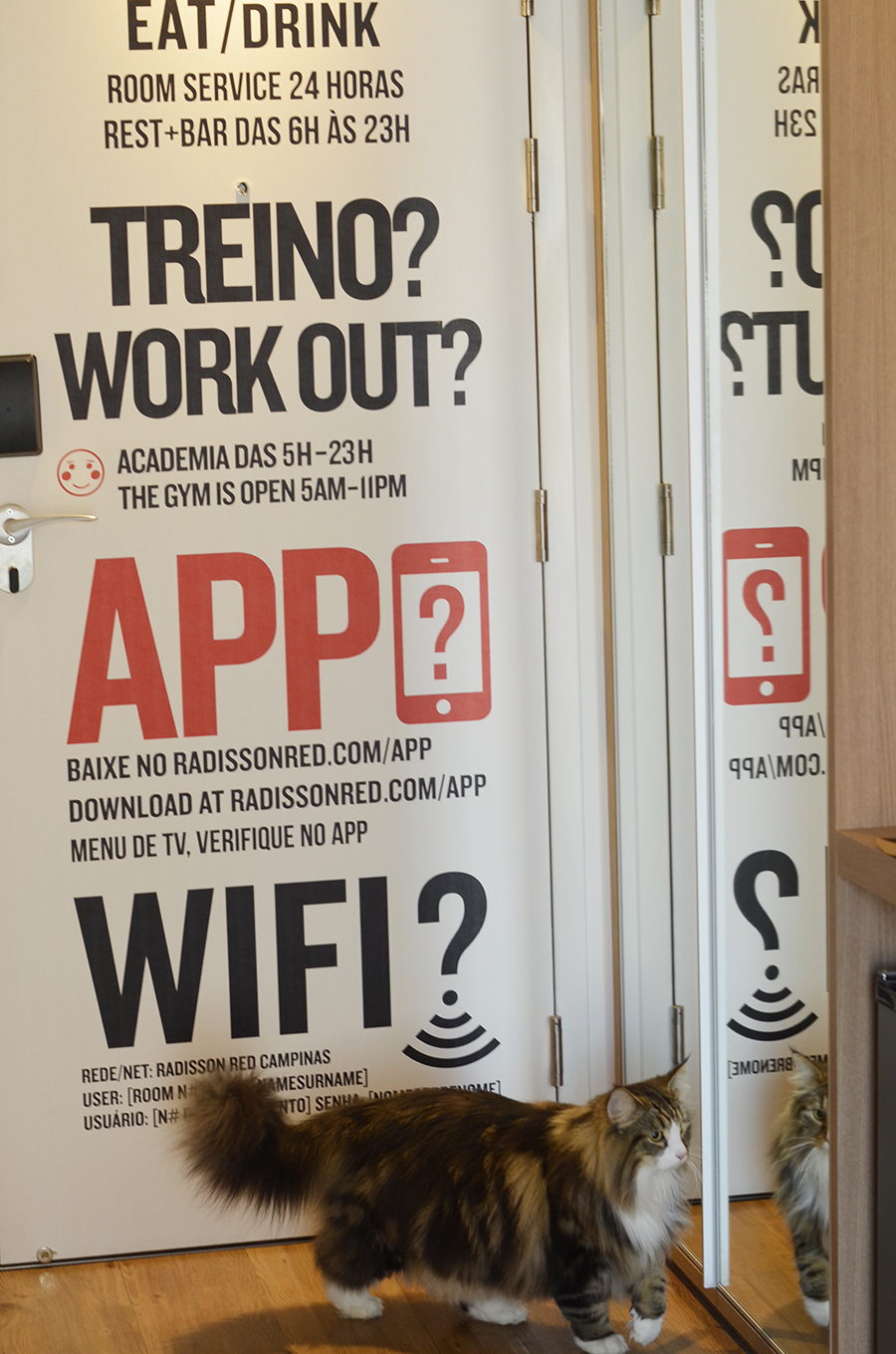 Conheça o Radisson Red, o Hotel mais Incrível e Pet Friendly