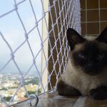 Yumi segura na varanda com a rede proteção da Liberty