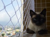 Yumi segura na varanda com a rede proteção da Liberty