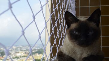 Yumi segura na varanda com a rede proteção da Liberty