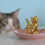 karin e porta jóias loja gatamia