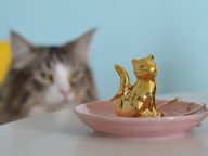 karin e porta jóias loja gatamia