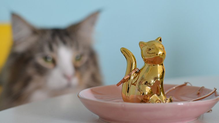 karin e porta jóias loja gatamia