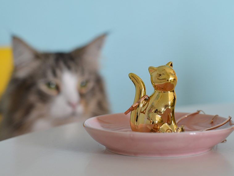 karin e porta jóias loja gatamia