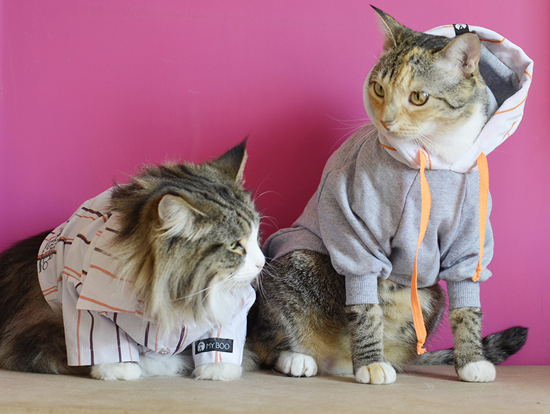 Karin e Sayuri usando a camisa e moletom da coleção Nutrir Estilo da MyBoo e PremierPet