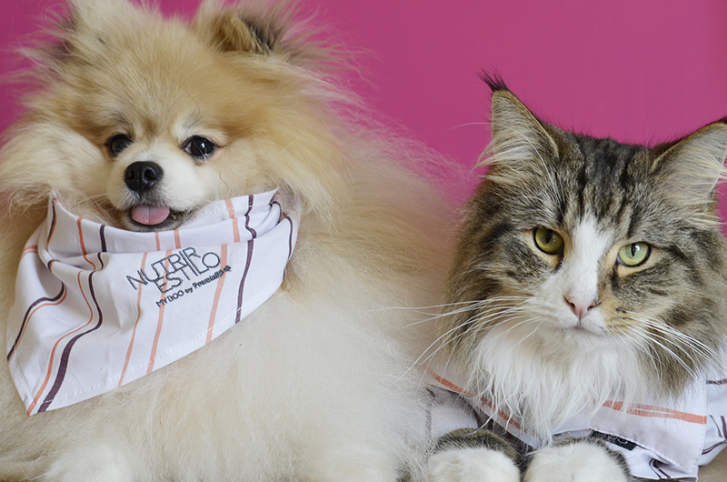 Boss e Karin usando a bandana e a camisa da coleção Nutrir Estilo da MyBoo e PremierPet