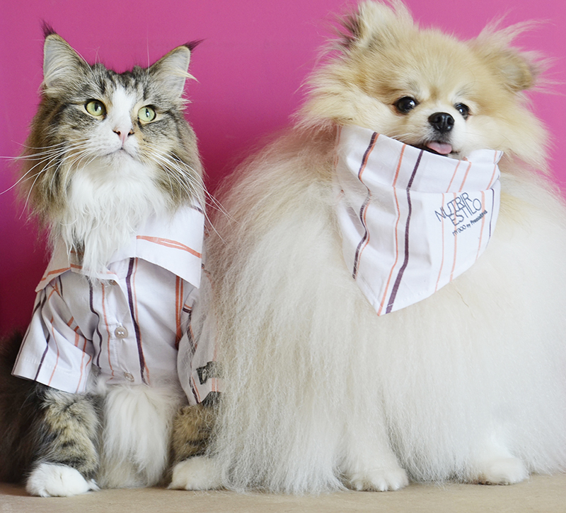 Boss e Karin usando a bandana e a camisa da coleção Nutrir Estilo da MyBoo e PremierPet