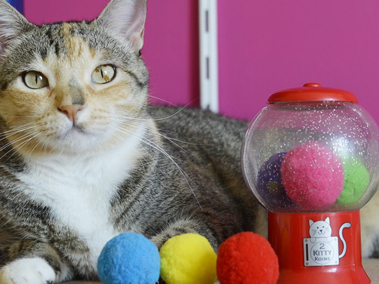 Kong Catnip Infuser o Super Odorizador de Brinquedo Para Gatos