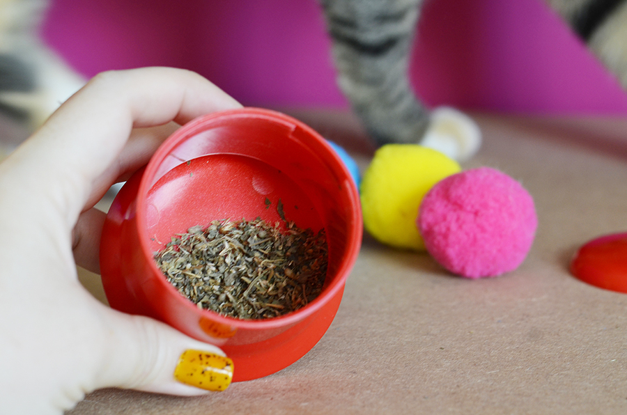 Catnip no brinquedo para gato Kong Catnip Infuser